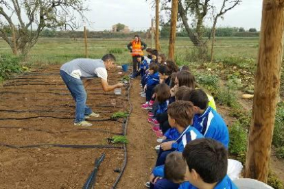 Els joves alumnes aprendran a conrear la terra.