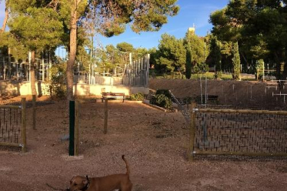 La zona tancada per a gossos que la Paeria habilita al parc de Santa Cecília.