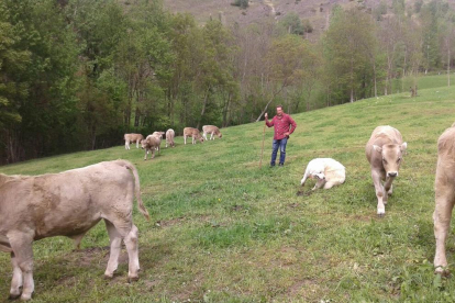 El sector ramader és considerat prioritari per al Pirineu per la seua tasca en el manteniment del paisatge, principal valor del territori.