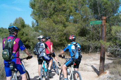 El Segrià vol promocionar el turisme de bici de muntanya.