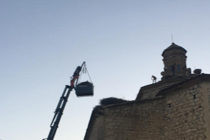 Operarios retirando nidos del tejado de la iglesia de Seròs.