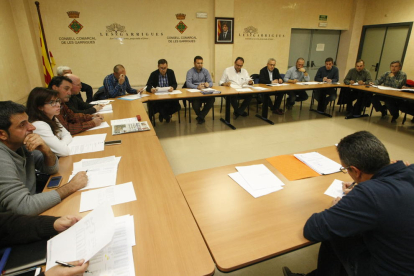 La sesión del consejo de alcaldes de Les Garrigues celebrada ayer en Les Borges Blanques.