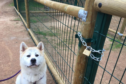 El cadenat que tanca l’accés a la zona tancada per a gossos al parc de Santa Cecília.