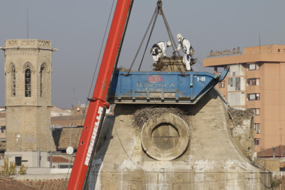 Trabajos de retirada de los nidos de cigüeña, este miércoles, en la Catedral de Lleida