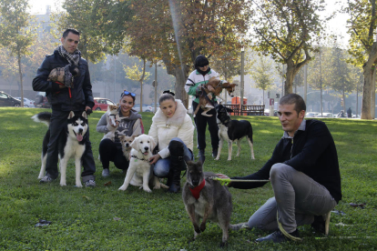 Lleida tiene 90.000 mascotas censadas, casi el doble que niños empadronados