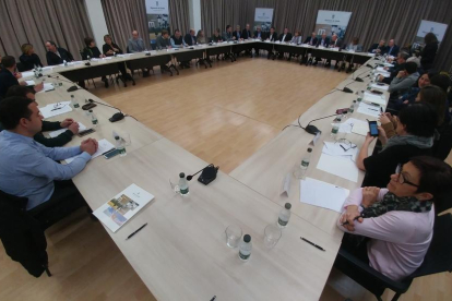 La cumbre de alcaldes y representantes del territorio reunió ayer a más de cuarenta personas en la Diputación de Lleida.