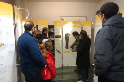 Visitants ahir a l’exposició al Museu de la Conca Dellà.