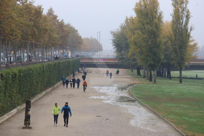 Malgrat la boira matutina que es va aixecar amb el pas de les hores, diumenge hi va haver centenars de persones que van acudir a la canalització del riu, el parc de la Mitjana o l'Horta per fer caminades, rutes amb bicicleta o a córrer.