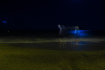 Passejada nocturna, entre llamps i lluna plena, per la platja de Cambrils