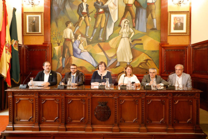 Imatges de l'últim ple de la Diputació de Lleida