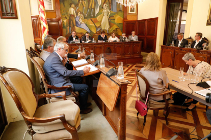 Imatges de l'últim ple de la Diputació de Lleida