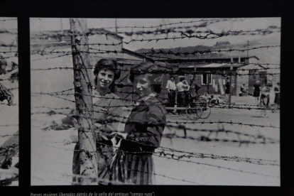 La Biblioteca de Lleida acull des d'ahir l'exposició 'Imatges i memòria de Mauthausen' amb més de 500 fotografies