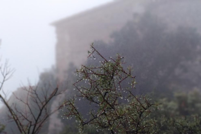 El fred i la boira comencen a calardes de l'ermita de Montelegre
