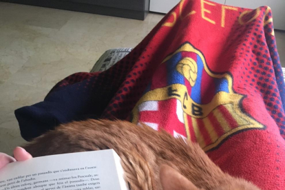 En Ronny, te totes les virtuts que pot tenir un gat, es del Barça i posa interes llegint llibres...