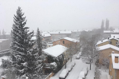 Primera gran nevada al Pirineu del 2019