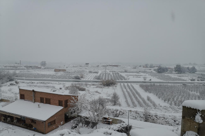 Sortetes de Montoliu de Lleida amb un tou de neu