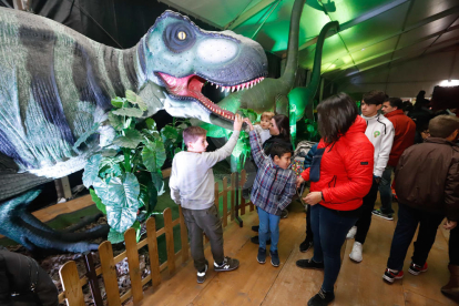 Imatges de l'exposició 'Dinosaurs Tour' a Lleida