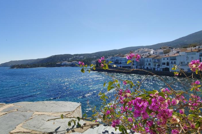 En primer pla, unes flors colorides i al fons, algunes cases del bonic poble de Cadaqués.