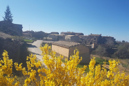 Sant Climenç es vesteix de groc,Magda Bach.