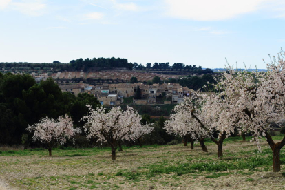 Arbres florits, camps verds i bon temps...ja és aquí la primavera!