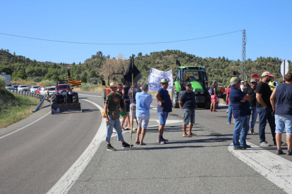 Els afectats per l'incendi de la Ribera d'Ebre tallen la C-12 a Flix i exigeixen ajuts urgents