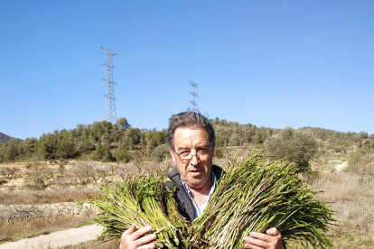 Arbres florits, camps verds i bon temps...ja és aquí la primavera!