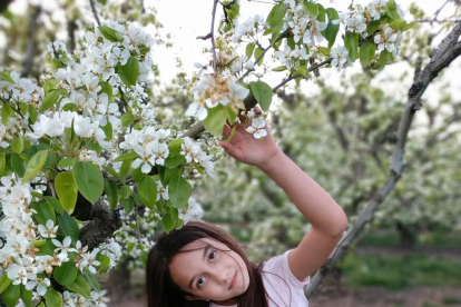 Mi flor entre las flores!!