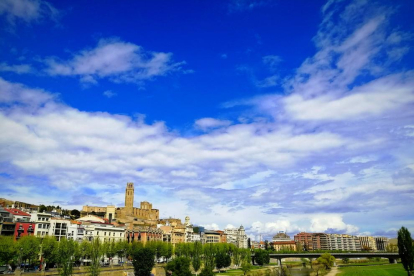 Arbres florits, camps verds i bon temps...ja és aquí la primavera!