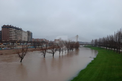 El río Segre, a su paso por la canalización de Lleida ciudad este jueves por la mañana.