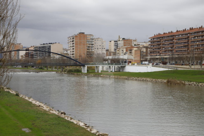 Imatges dels desperfectes del temporal Gloria a les comarques de Lleida