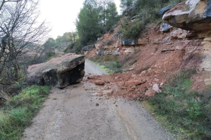 Imatges dels desperfectes del temporal Glòria a les comarques de Lleida