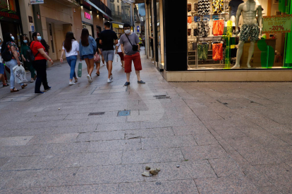 Vàndals tiren pedres a l'Eix Comercial de Lleida
