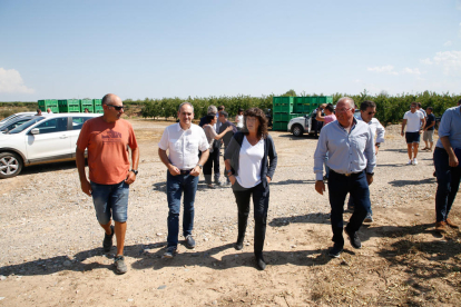 La consellera Jordà visita les zones afectades per les pedregades al pla de Lleida