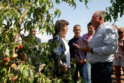 La consellera Jordà visita les zones afectades per les pedregades al pla de Lleida