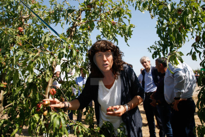 La consellera Jordà visita les zones afectades per les pedregades al pla de Lleida