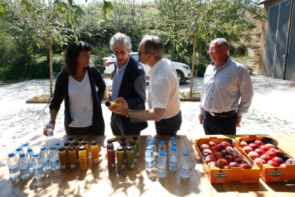 La consellera Jordà visita les zones afectades per les pedregades al pla de Lleida