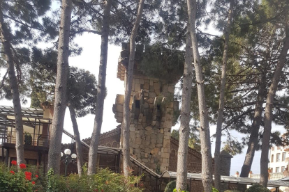 Arbres florits, camps verds i bon temps...ja és aquí la primavera!