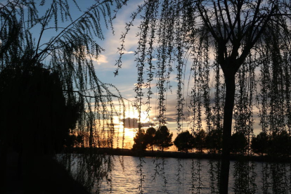 Quan la natura acluca l'ull