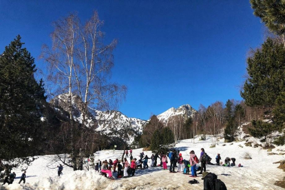 Arbres florits, camps verds i bon temps...ja és aquí la primavera!