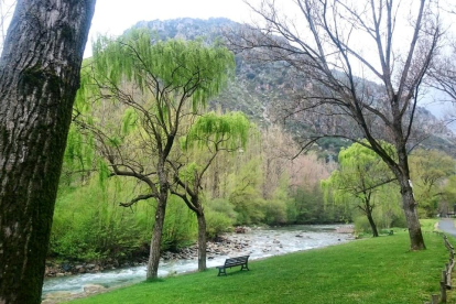 Arbres florits, camps verds i bon temps...ja és aquí la primavera!