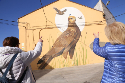 Ivars d'Urgell converteix les aus de l'estany en art urbà. Projecte de divulgació de Swen Schmitz i el consistori