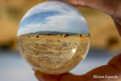 Paissatges d'estiu a través de la bola del futur... camps de blat segats a Montgai