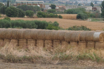 Les fulles cauen, arriba la boira i comença a fer fred.