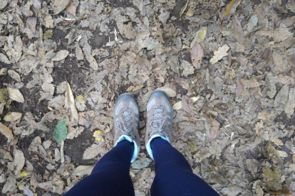 Caminant sobre un mantell de fulles a la Fageda d'En Jordà