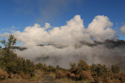 Quant la boira retirava a la Serra de Llances el dia 1-11-2018