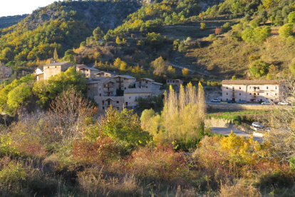 Les fulles cauen, arriba la boira i comença a fer fred.