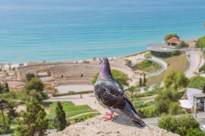 12a edició del concurs de fotos de vacances d'estiu