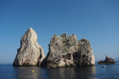 Illes Medes, gaudint la natura del nostre país...