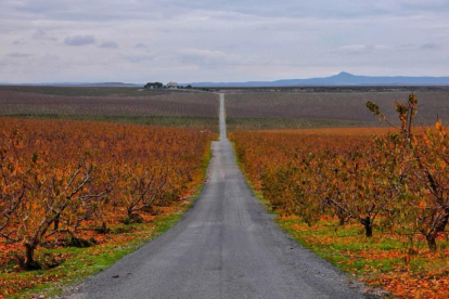 Les fulles cauen, arriba la boira i comença a fer fred.