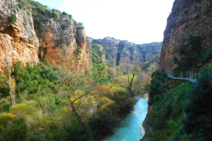 Les fulles cauen, arriba la boira i comença a fer fred.